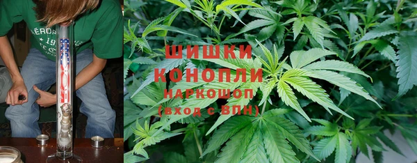крисы Чердынь