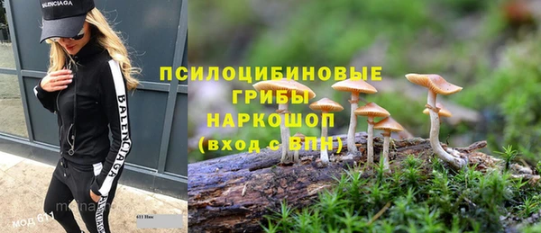 МДПВ Киреевск