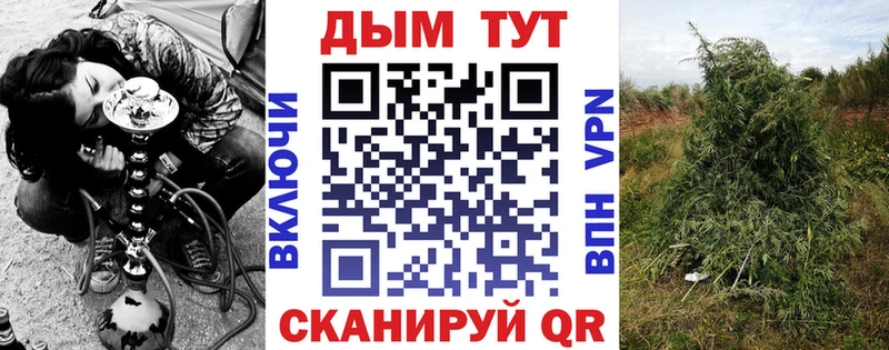Купить закладки  Еманжелинск  Шишки марихуана VHQ 